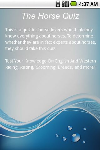 赛马知识测验 The Horse Quiz截图1