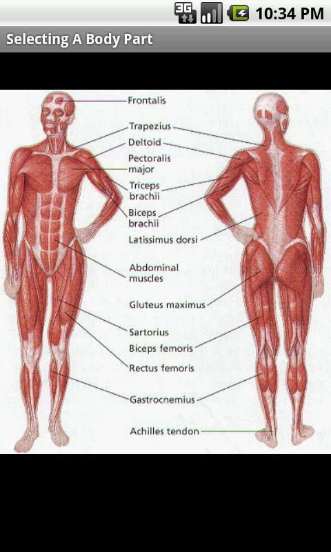 Pain Log截图4