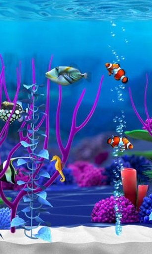 Under the Sea Live Wallpaper截图5