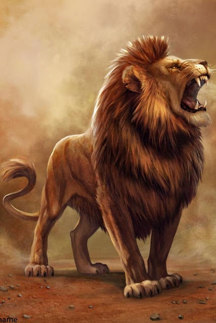 Lion Wallpaper截图1