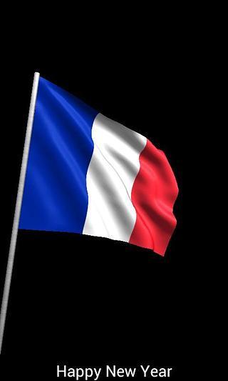 Flag Alarm - France Free截图2