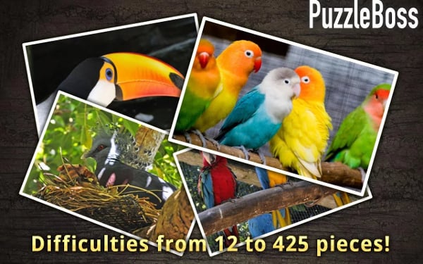 Bold Birds Jigsaw Puzzle...截图4