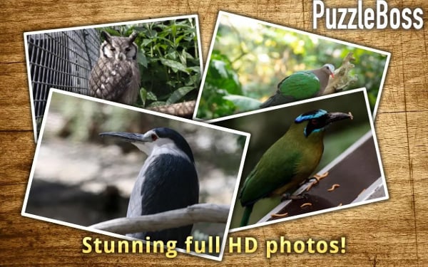 Bold Birds Jigsaw Puzzle...截图2