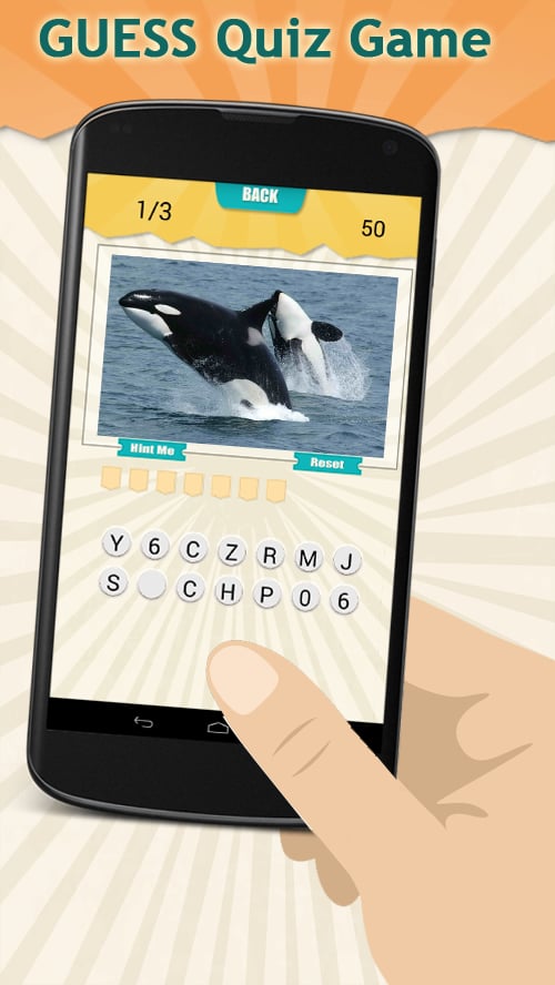 Marine Mammals Quiz Game截图2