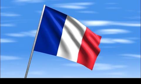 Flag Alarm - France Free截图1