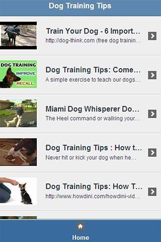 Dog Training Tips Video截图2