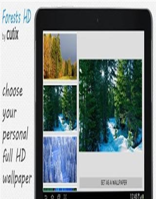 Forests HD wallpapers截图2