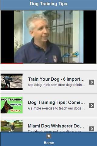 Dog Training Tips Video截图1