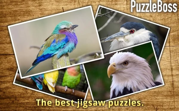 Bold Birds Jigsaw Puzzle...截图3