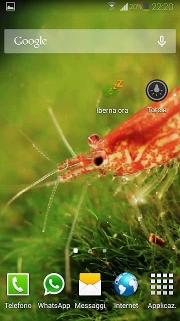 Shrimp Live Wallpaper截图3