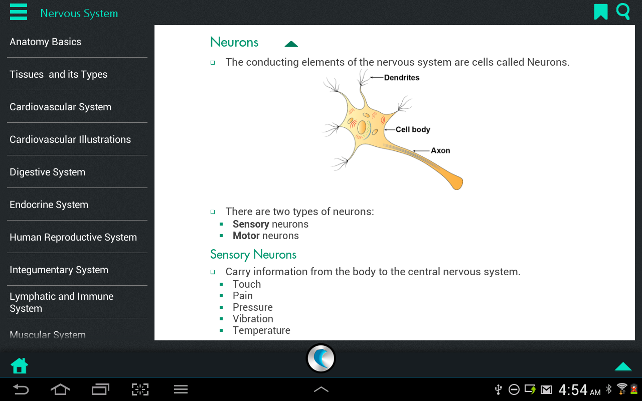 Human Body Anatomy by WAGmob截图4