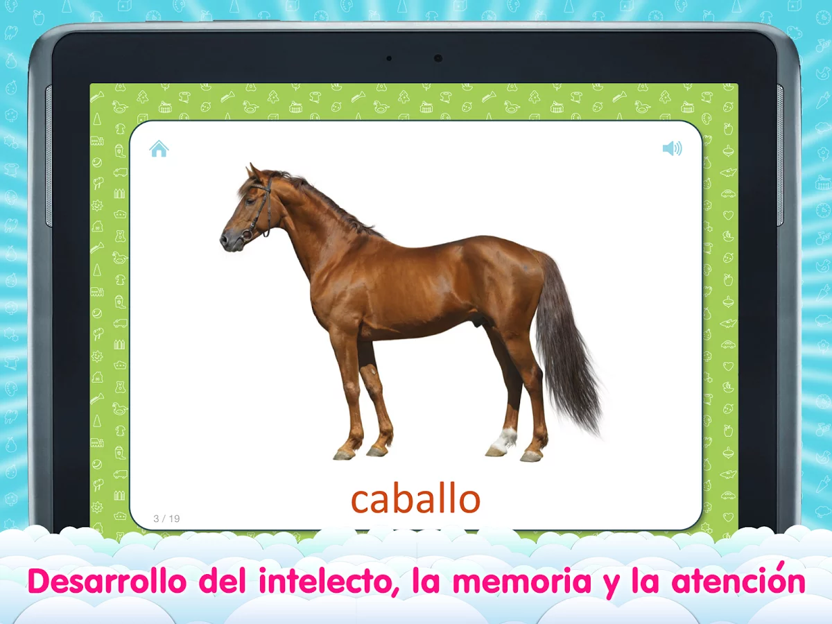 Tarjetas de Vocabulario截图3