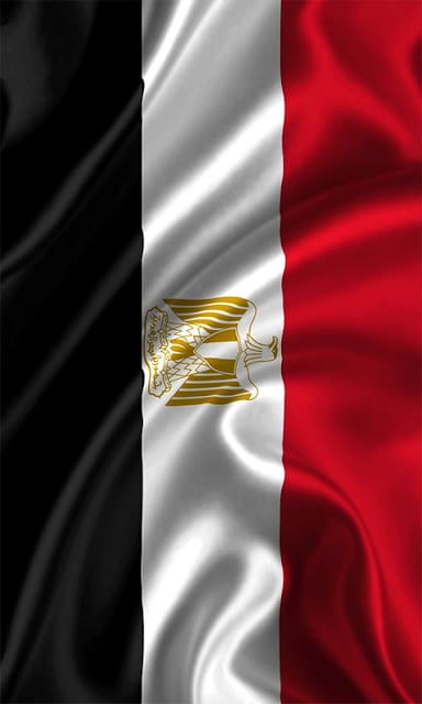 Egypt Elections截图4