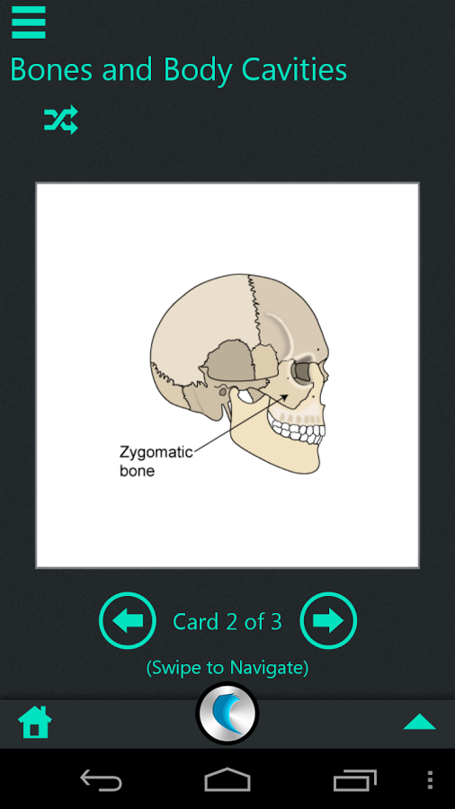 Human Body Anatomy by WAGmob截图11