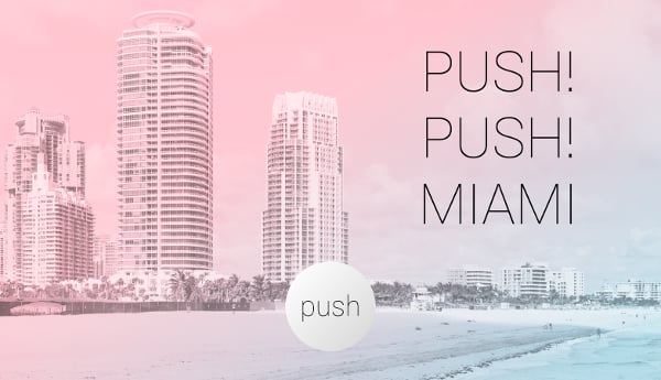 Push! Push! Miami截图4