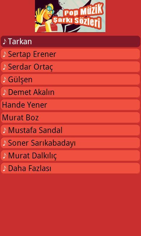 Pop Müzik Şarkı Sözleri - Android截图1