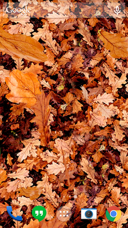 Autumn leaves 3D LWP截图11