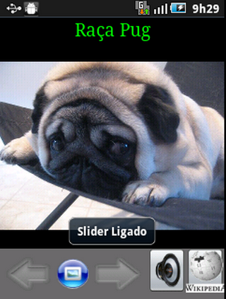 Cachorros Pug截图3