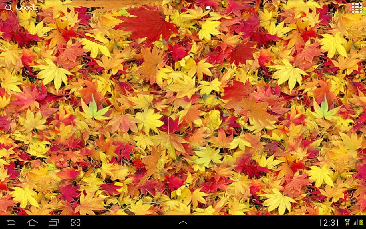 Autumn leaves 3D LWP截图3