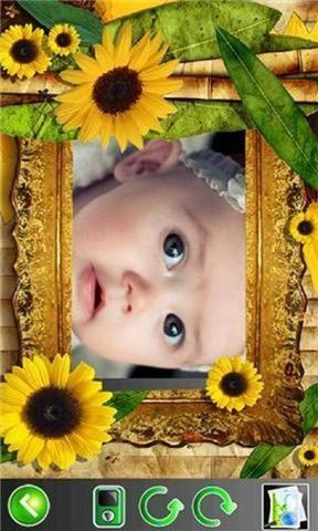 Nature Photo Frames Free截图3