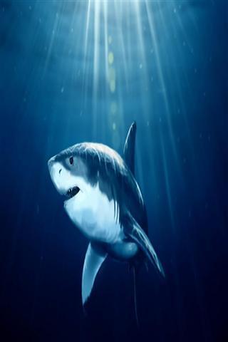 Sharks Live Wallpaper截图1