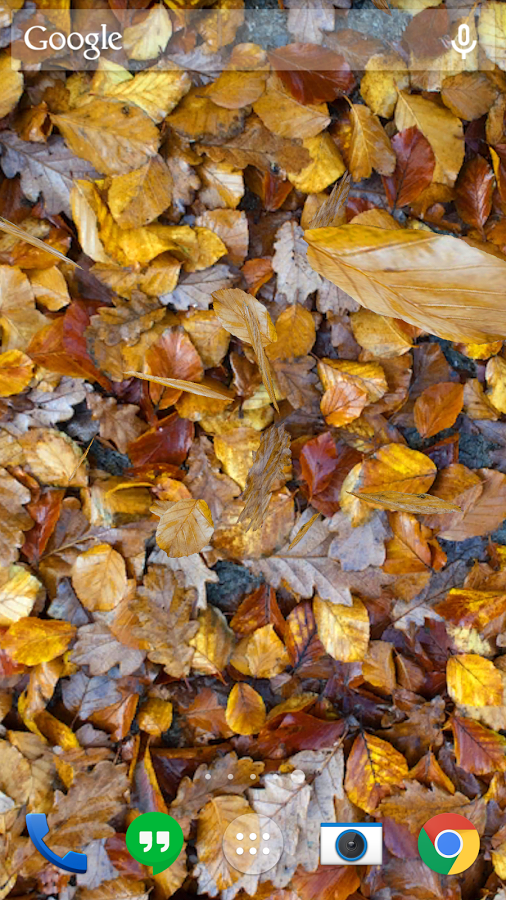 Autumn leaves 3D LWP截图10