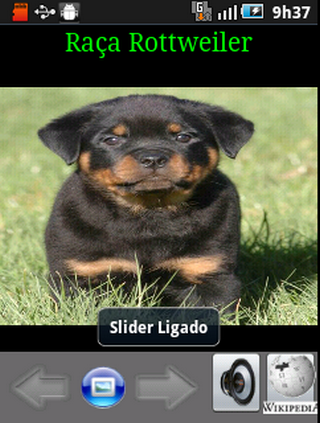 Cachorros Rottweiler截图3