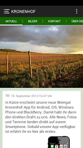 Weingut Kronenhof截图1