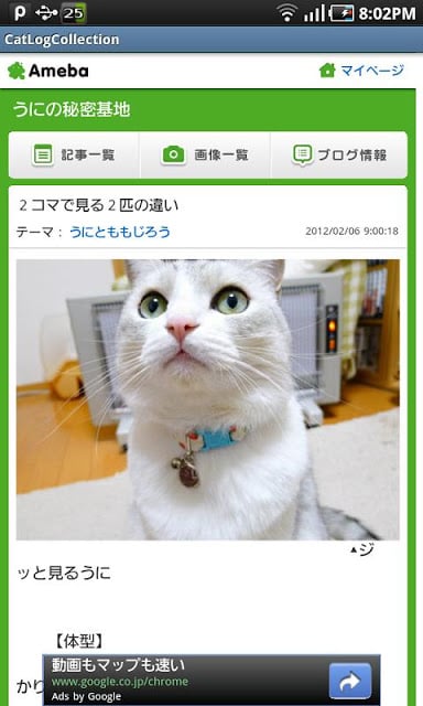 猫ブログ・コレクション截图1