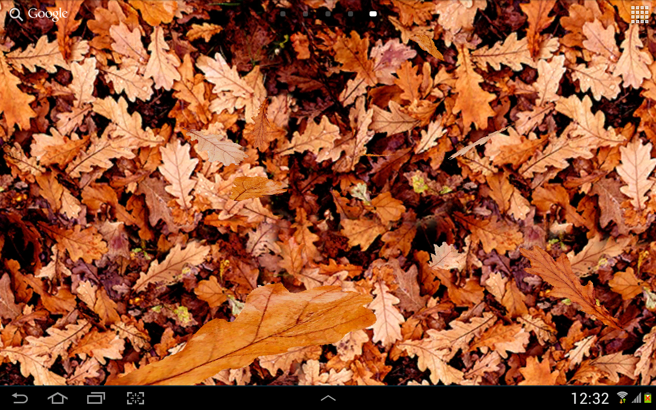 Autumn leaves 3D LWP截图5