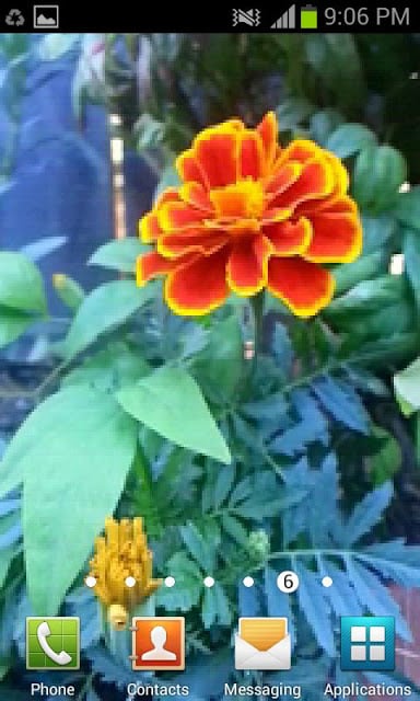 3D Garden Live Wallpaper Free截图2