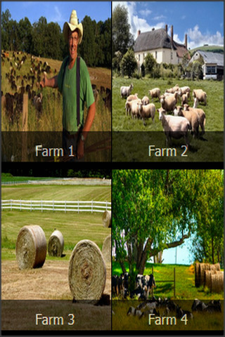 Hay Farm2 Day截图3