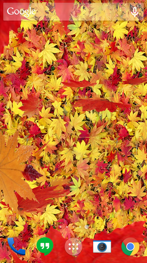 Autumn leaves 3D LWP截图9