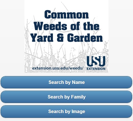 Common Weeds of Yard &amp; Garden截图9