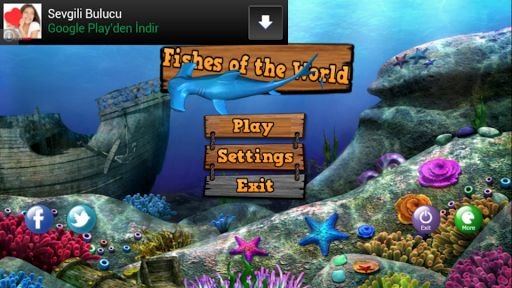 3D Fish Live截图3