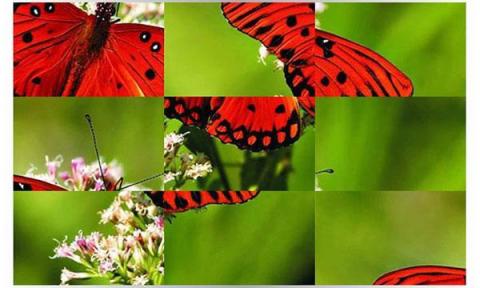 Butterflies Puzzle截图4