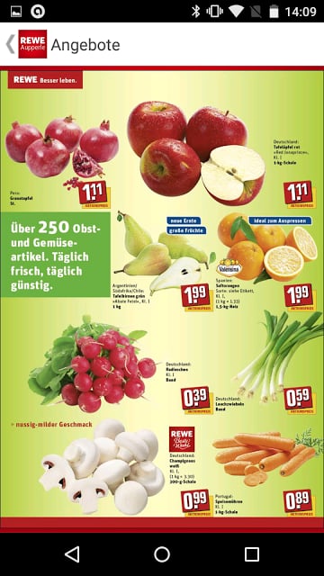 REWE Aupperle截图1