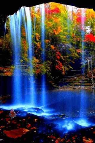 Waterfall Forest Live Wallpaper截图1