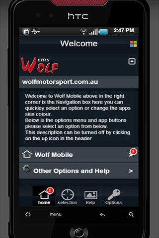 Wolf Motorsport截图3