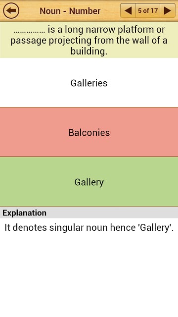 Grammar Express : Nouns Lite截图7