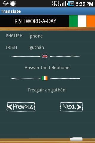 Learn Irish截图4