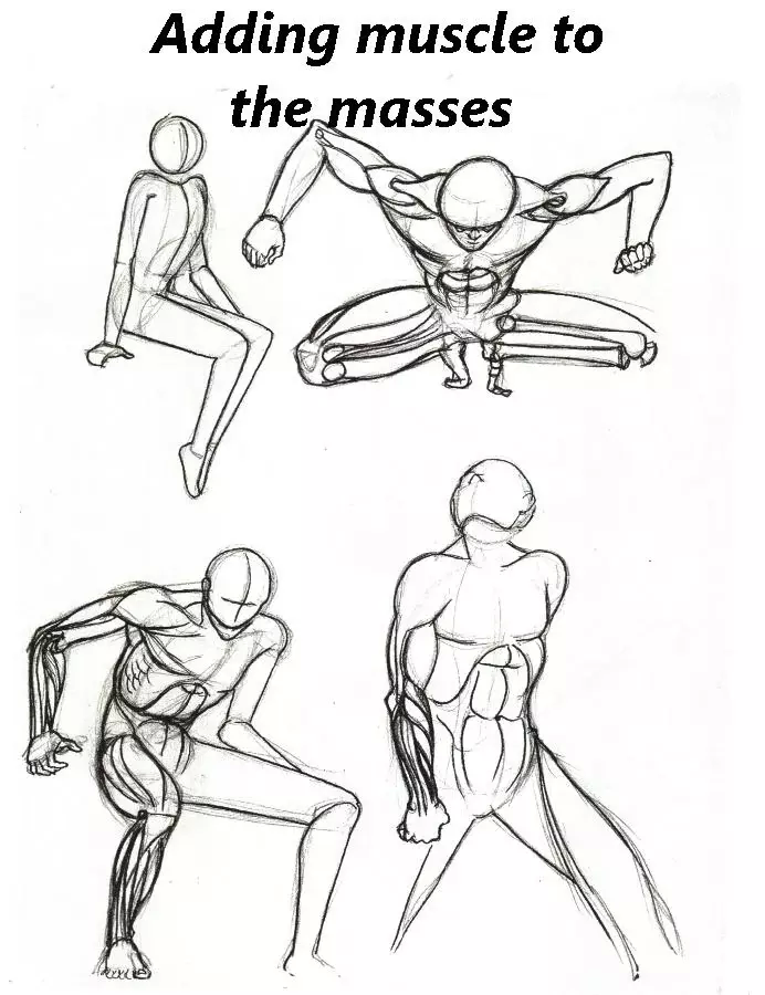 Sketches of anatomy截图5