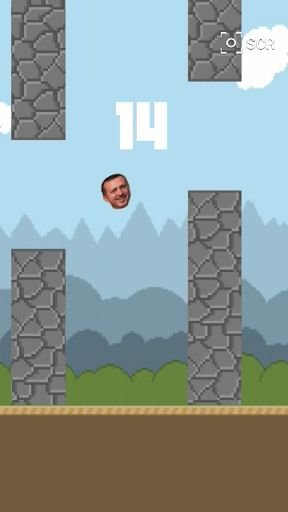 Flappy Tayyip截图7