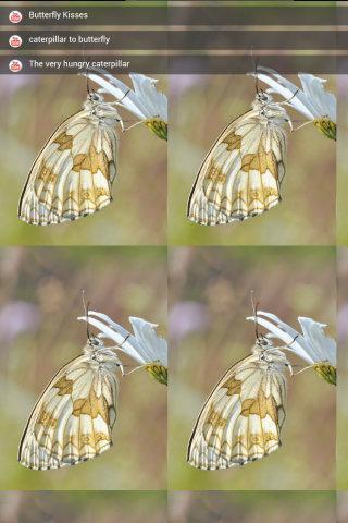 Butterfly Wings截图1
