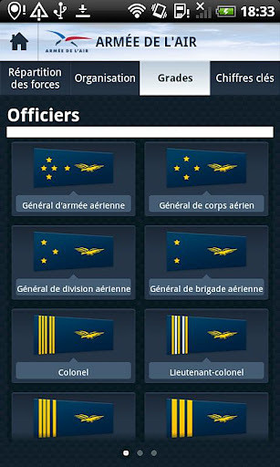 Armée de l截图3