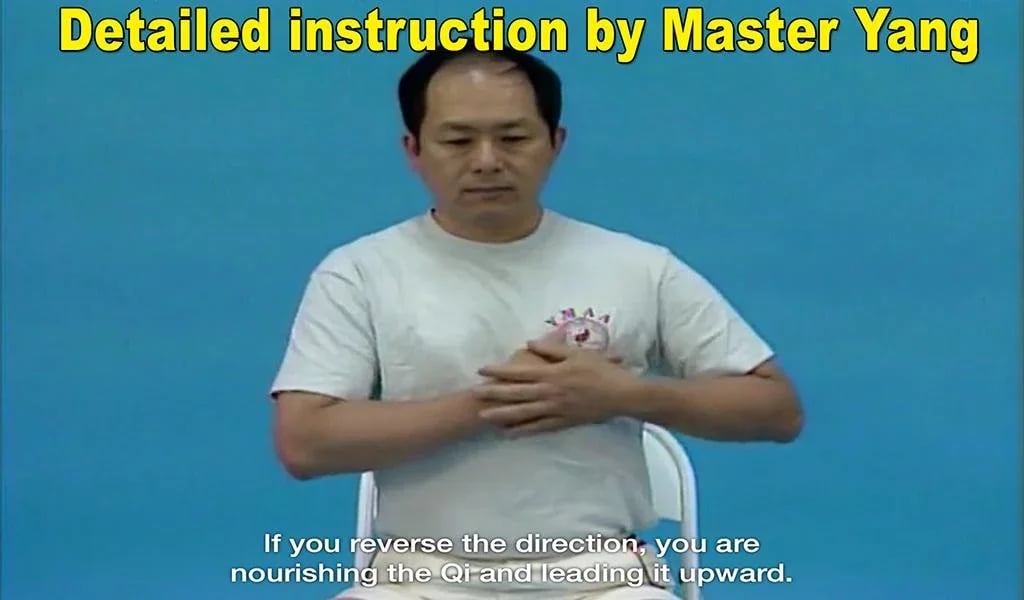 Qigong Massage: Self Mas...截图3