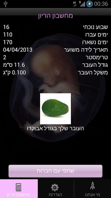 Pregnancy Calculator - מחשבון截图1