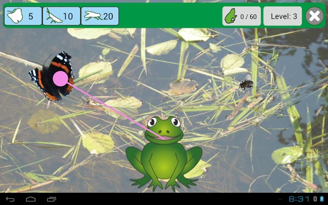 Frog for kids and adults free截图2