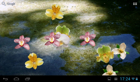 Floating orchids截图7