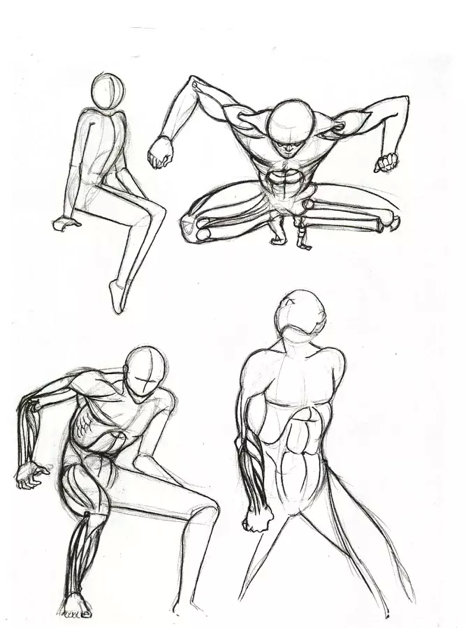 Sketches of anatomy截图1